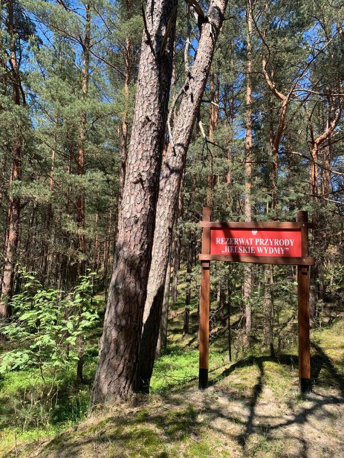 Przyczepy Kempingowe Vip - Osrodek Na Klifie Village - Hel Helska 11 Eksteriør billede